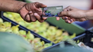 Buca'da Üzüm Kart dönemi