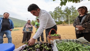 Bucalı çiftçilerden kış sezonunun ilk hasadı
