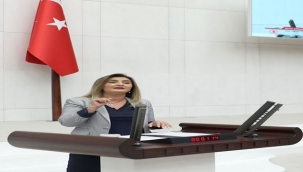  "Film platosu gibi oldu canım memleket"