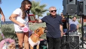 Narlıdere'de can dostlara özel festival