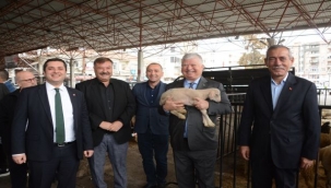 Torbalı'da üreticiye küçükbaş desteği