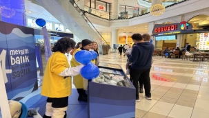 Dört Mevsim Balık Her Yaşta Sağlık