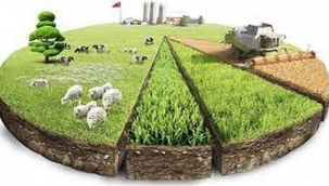 ABD'ye 250 milyon dolarlık ihracat hedefi