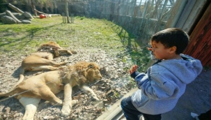 Batur, depremzede çocukların yüzünü güldürdü
