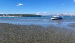 Sığacık'ta deniz çekilmesi 