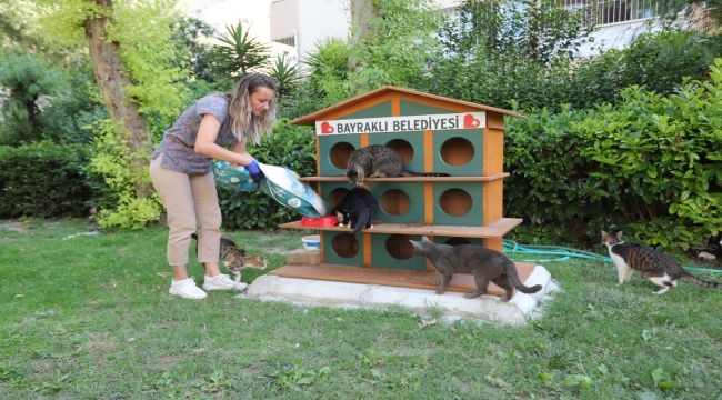 Bayraklı'da can dostlara mama ve su desteği