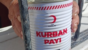 TÜM ŞEHRİ İYİLİK SARACAK