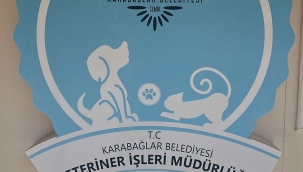 Artık yoğun bakım üniteleri de var!