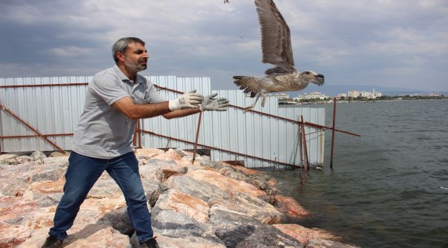 Yorgun martılar Karşıyaka'da emin ellerde!