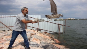 Yorgun martılar Karşıyaka'da emin ellerde!
