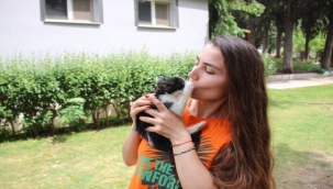 Zübeyde Hanım Parkı'nın kedileri yeni evlerine kavuştu