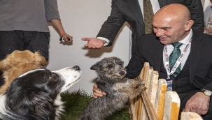 7.Uluslararası Evcil Hayvan Ürün Fuarı İçin İzmir Gün Sayıyor