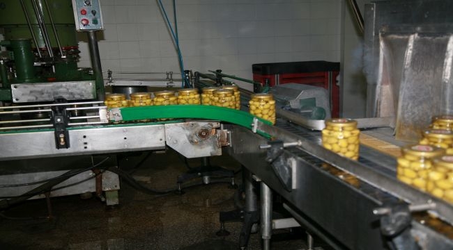 Türkiye'nin sofralık zeytin ihracatı 184 milyon 510 bin dolar oldu