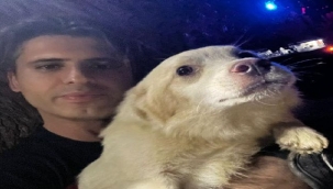 Bir aydır kayıp olan Pamuk'u İzmir İtfaiyesi sahibine kavuşturdu