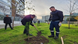 Karşıyaka Meyve Bahçeleriyle Renkleniyor