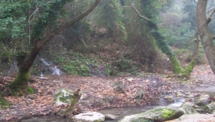 Doğanın eşsiz senfonisiyle yürüyüş