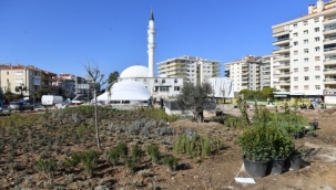İzmir'in maki bitki örtüsü metro istasyonlarında yaşayacak 