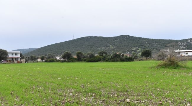 İzmir Büyükşehir çiftçi için arazilerini üretime kazandırdı