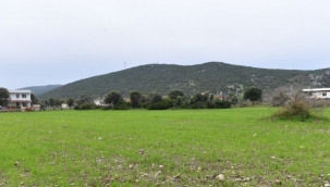 İzmir Büyükşehir çiftçi için arazilerini üretime kazandırdı