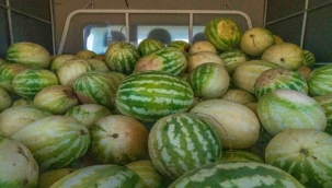 Hayvanlar yesin istedim