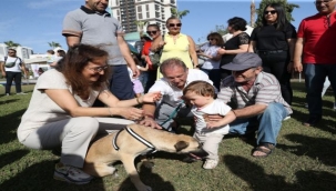 Toplu Kısırlaştırma Hamlesi