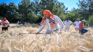 5 tonluk buğday yerel üreticiye nefes olacak