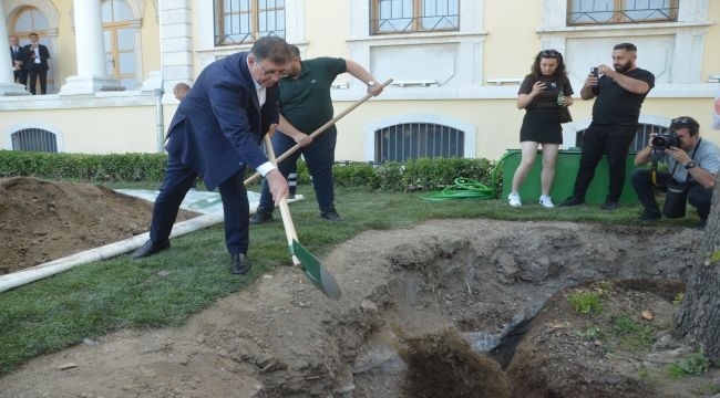Kırılan Asırlık Çınar Ağacının Yerine Yenisini Dikti