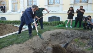 Kırılan Asırlık Çınar Ağacının Yerine Yenisini Dikti 