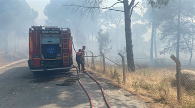 Bergama'da orman yangınına müdahale ediliyor