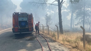Bergama'da orman yangınına müdahale ediliyor