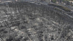 Hem ekolojiyi hem ekonomiyi yaktı