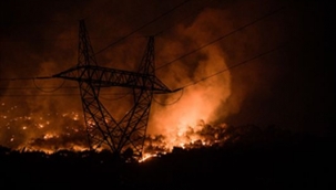 İzmir'de bir ayda 26 bin 260 hektar alan yandı