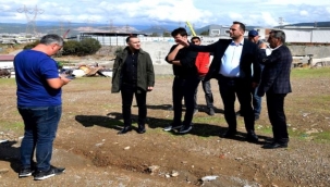 "Bornova Misketi köklerine dönüyor"