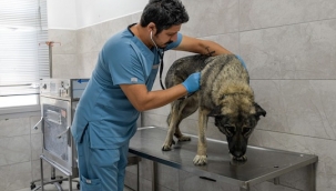 Çörekçi'nin Emanetlerine Büyükşehir Sahip Çıktı