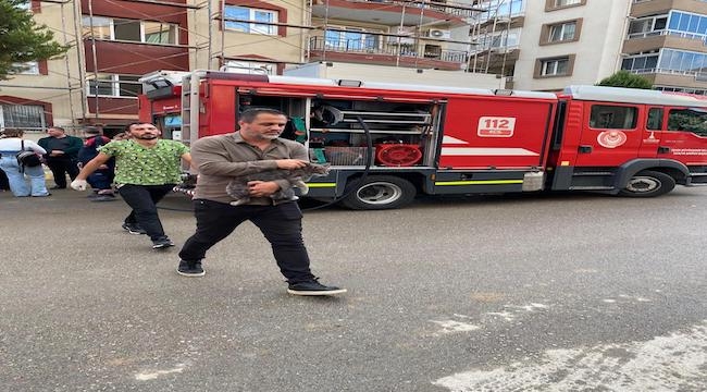 Mazgala düşen kayıp köpek ve yangında mahsur kalan kediler itfaiyenin çabasıyla kurtarıldı