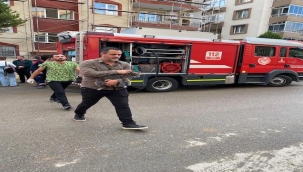 Mazgala düşen kayıp köpek ve yangında mahsur kalan kediler itfaiyenin çabasıyla kurtarıldı