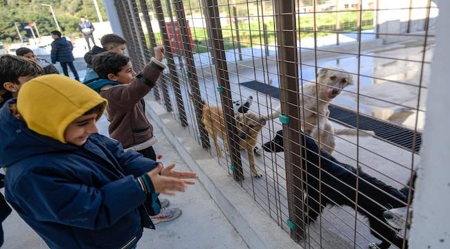 Çocuklara hayvan sevgisi kazandırılıyor