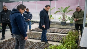 Bornova kendi yeşilini kendi üretiyor