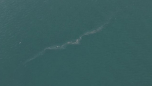 İzmir Körfezi'nde 13. dış kaynaklı kirlilik vakası