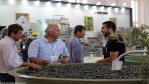 Zeytinin zirvesi İzmir'de kuruluyor