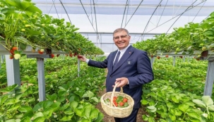 İzmir'in Tarım Master Planı rotasını çizdi