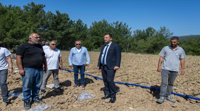 Bornova'da atıl topraklar hayat buluyor
