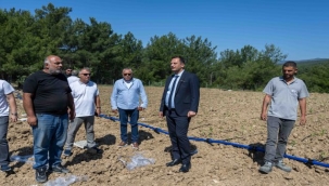 Bornova'da atıl topraklar hayat buluyor