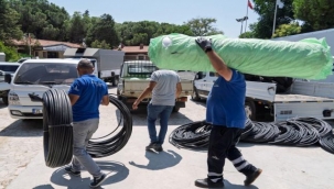 Büyükşehir'den domates ve çilek üreticisine iklim zırhı