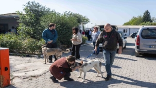 Can dostları yeni sahipleriyle buluştu